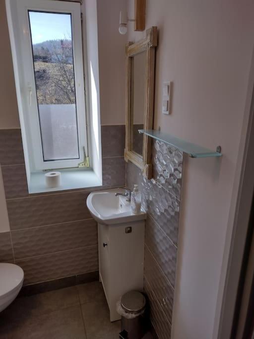 Sudety Hut 3 Apartment Podgorzyn Exterior photo