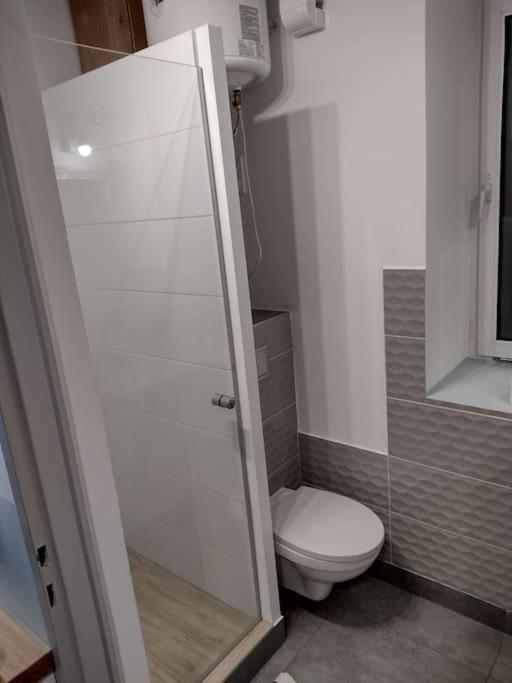 Sudety Hut 3 Apartment Podgorzyn Exterior photo